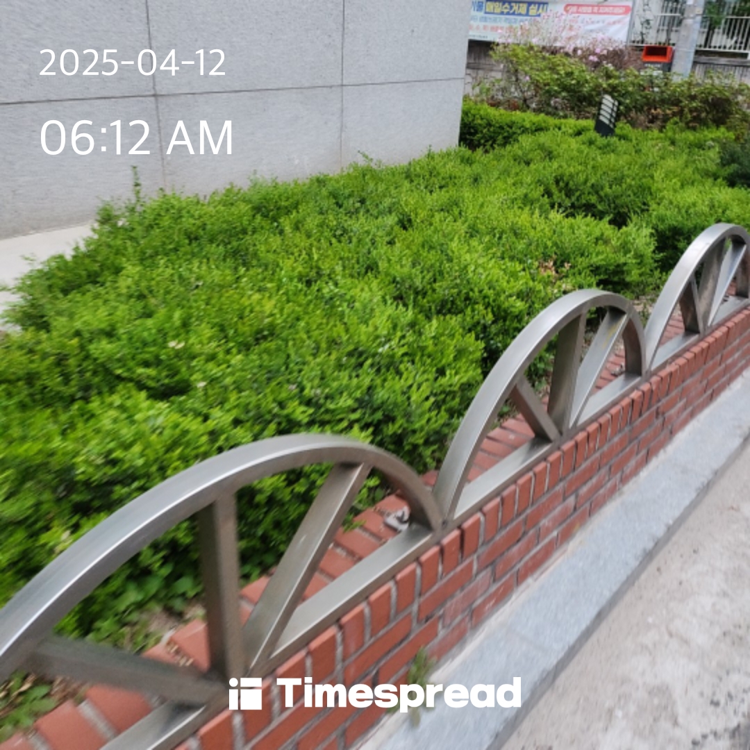 산책하기 챌린지 