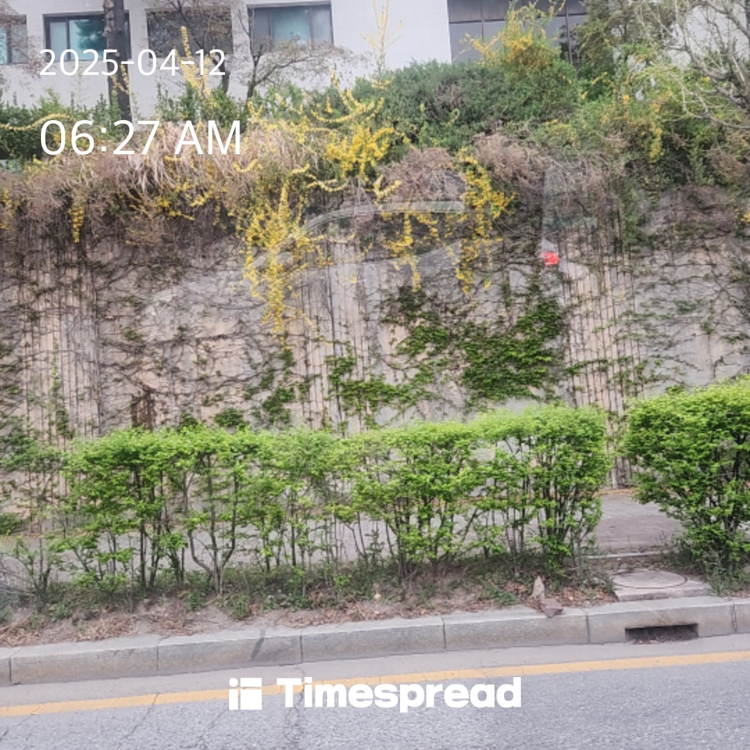 산책