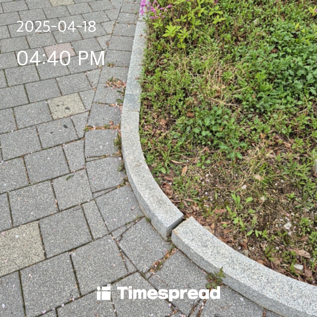 산책하기 