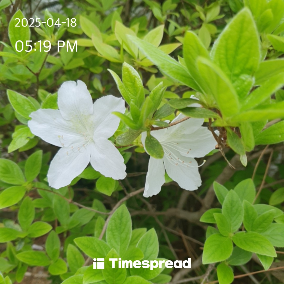 4일차