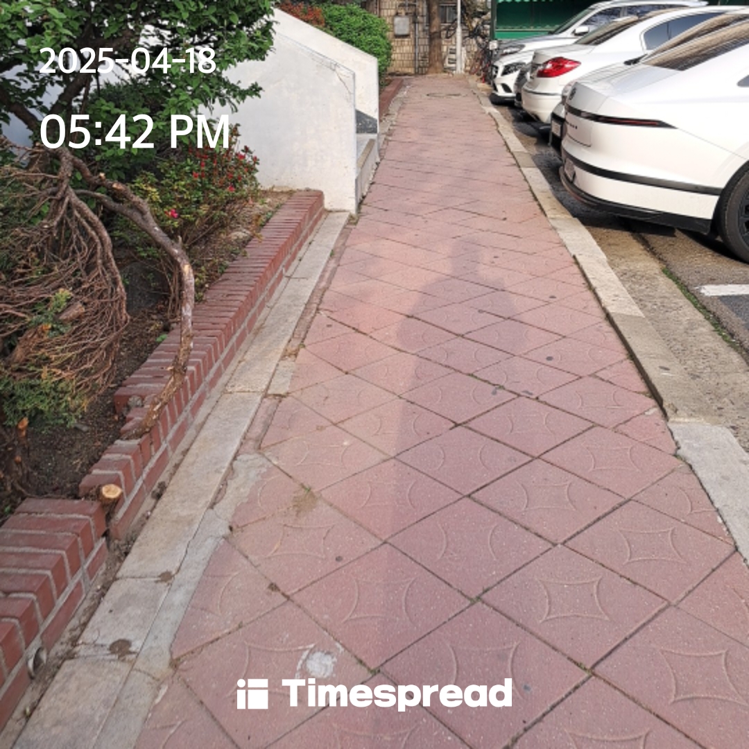 인증