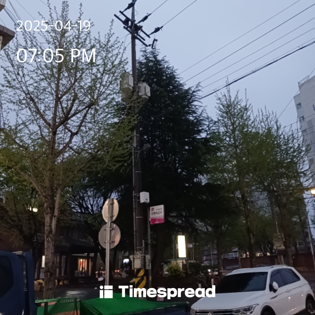 산책하기 