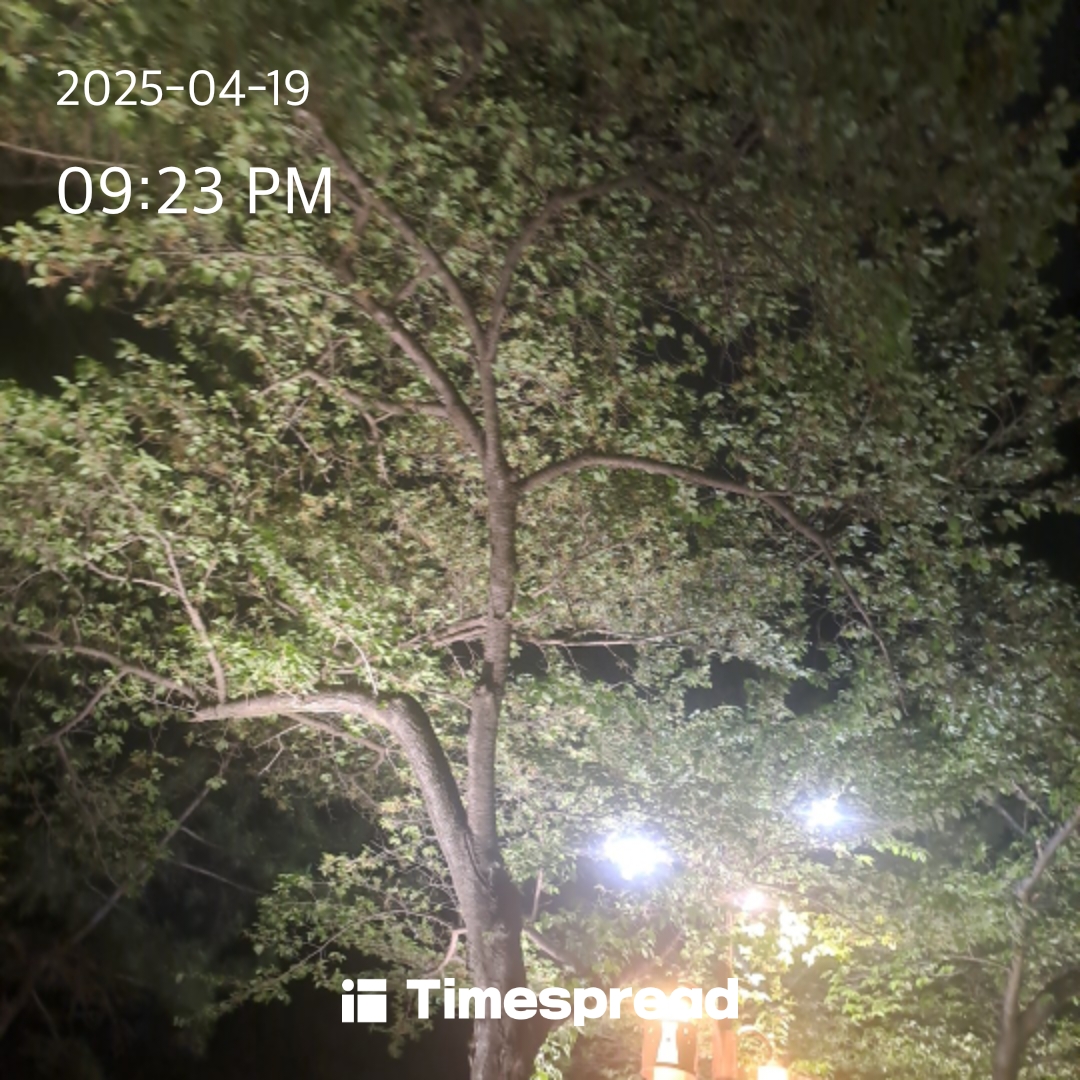 산책