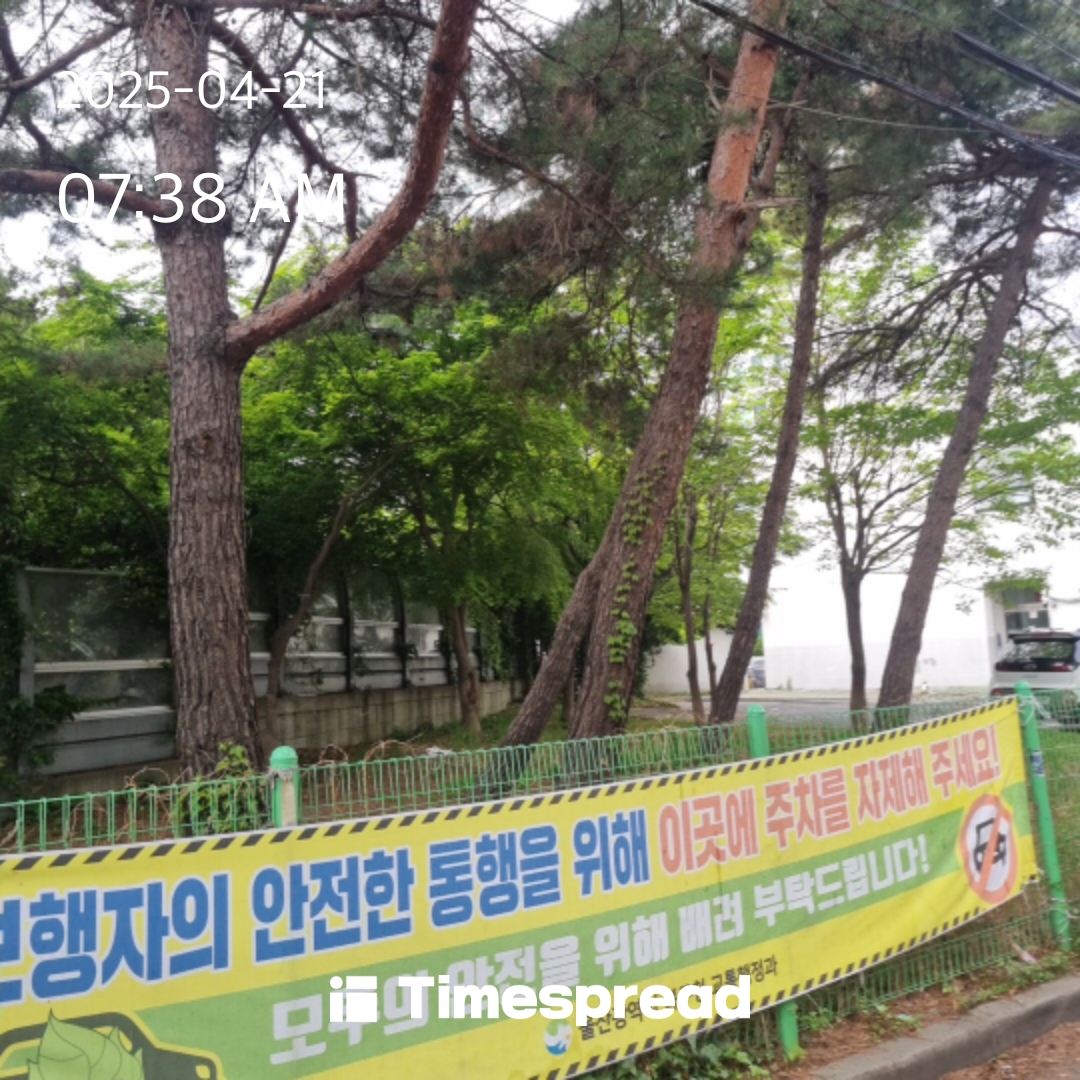 늘산책