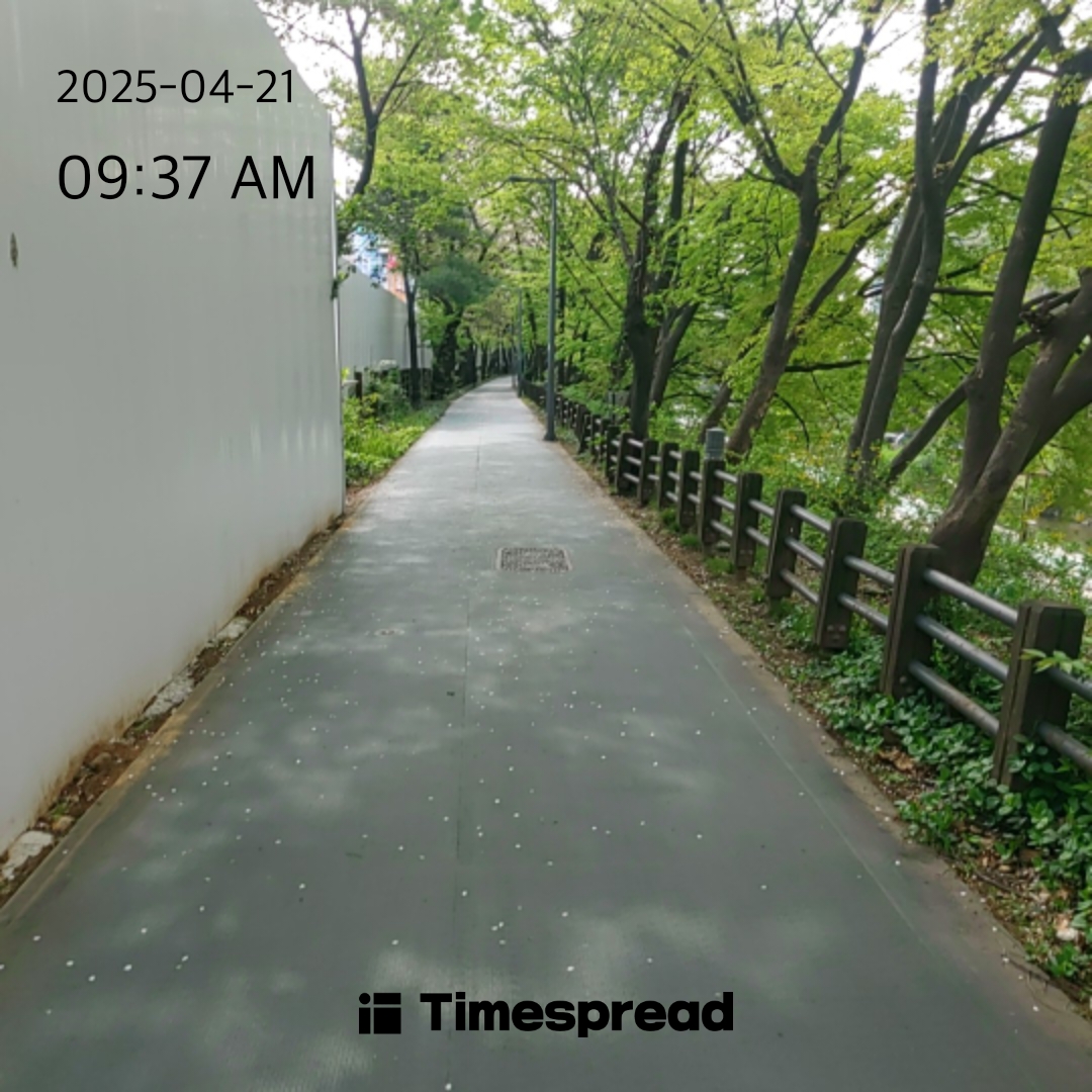 파릇파릇