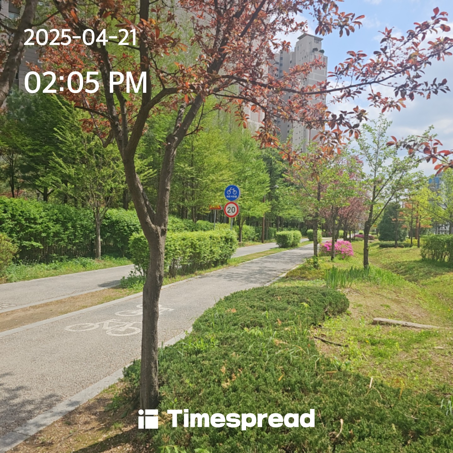 산책
