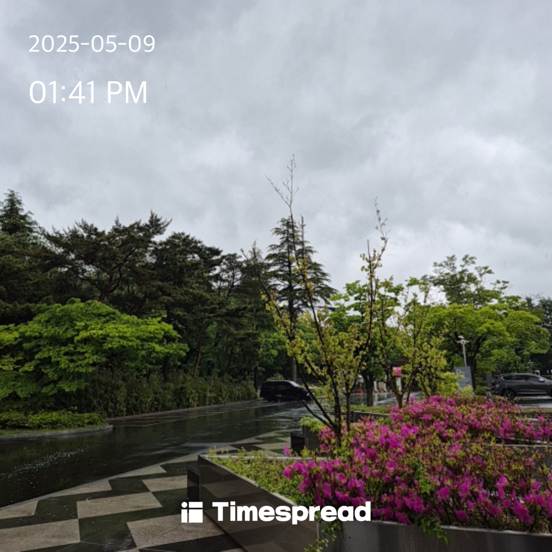 산책하기 인증 