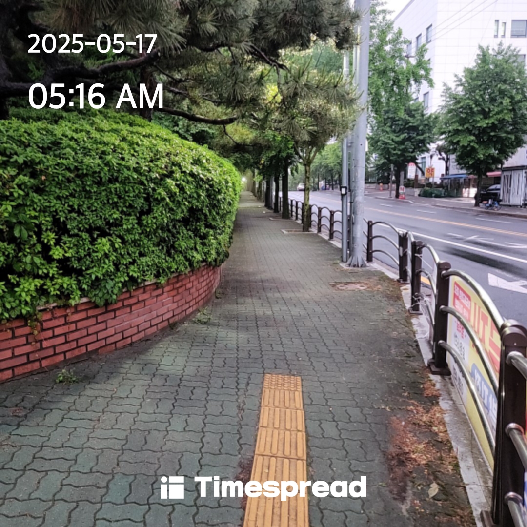 산책하기 챌린지