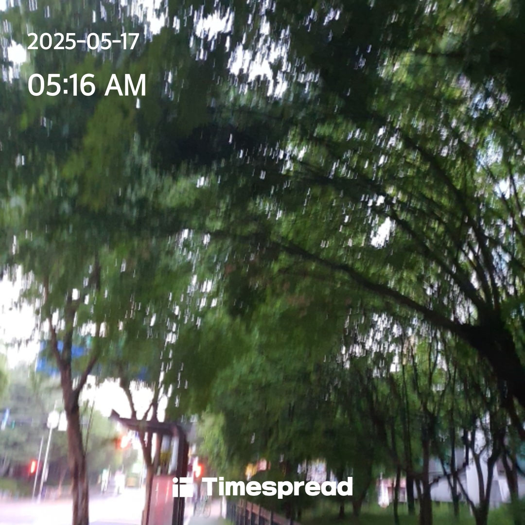 하루한번산책하기