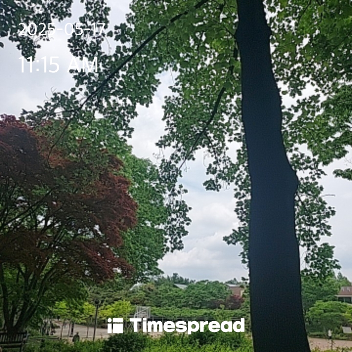 엄마랑공원에왔음