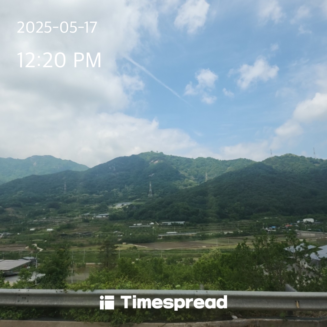 산책하기