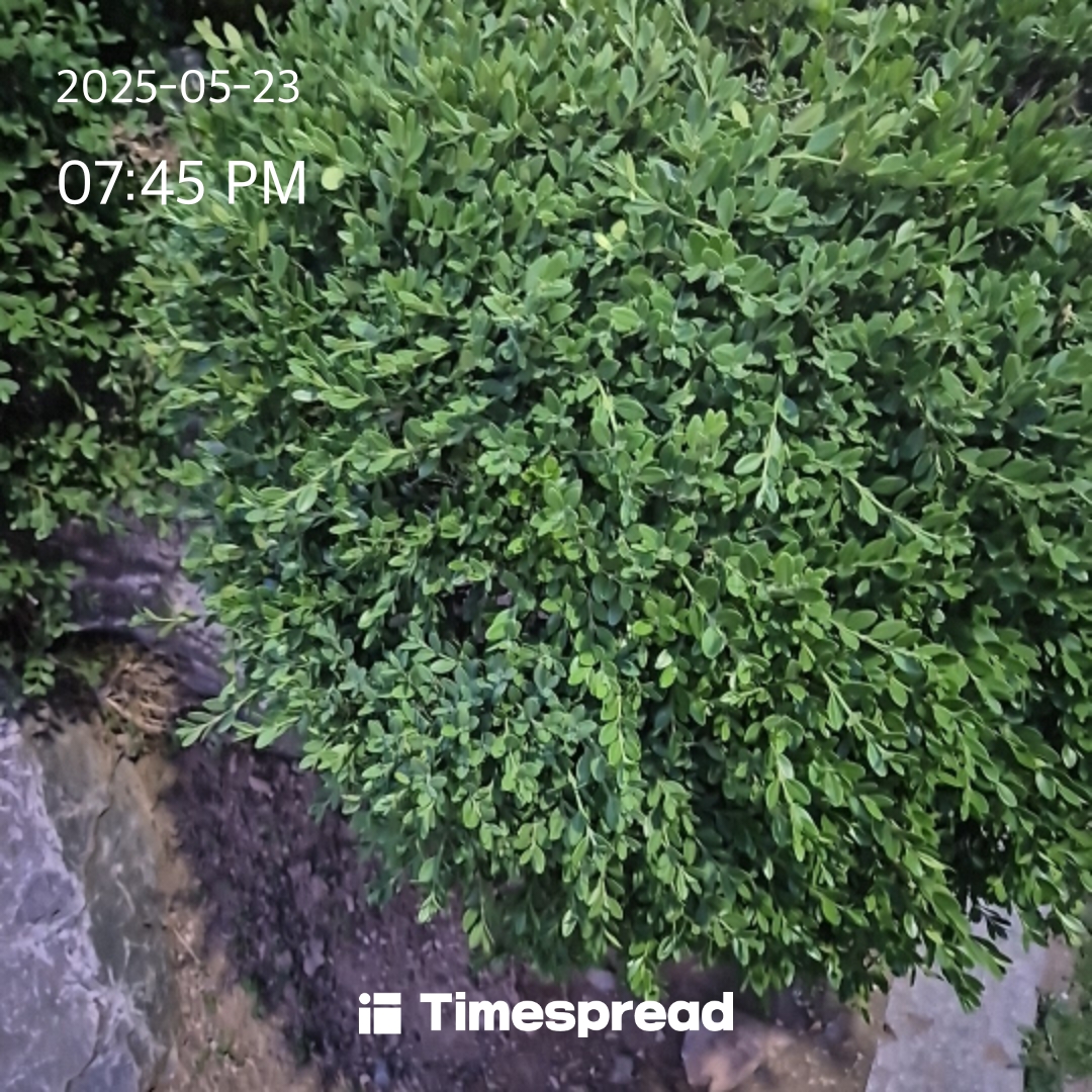 산책