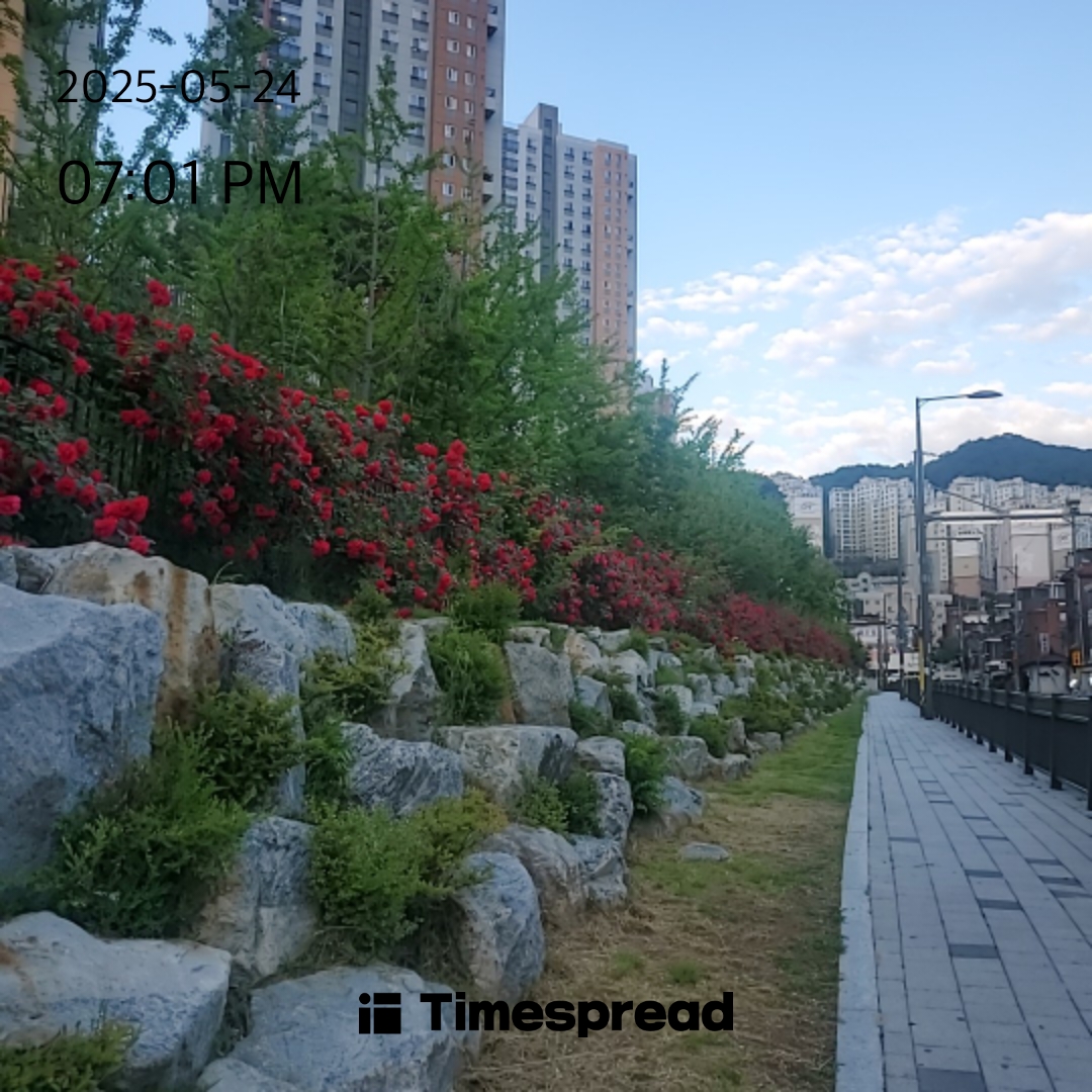 동네 산책길 