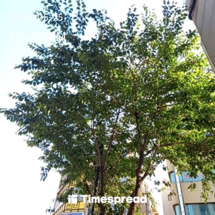 산책