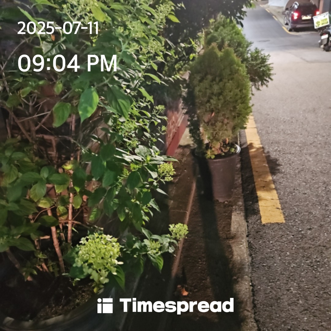 신정동골목