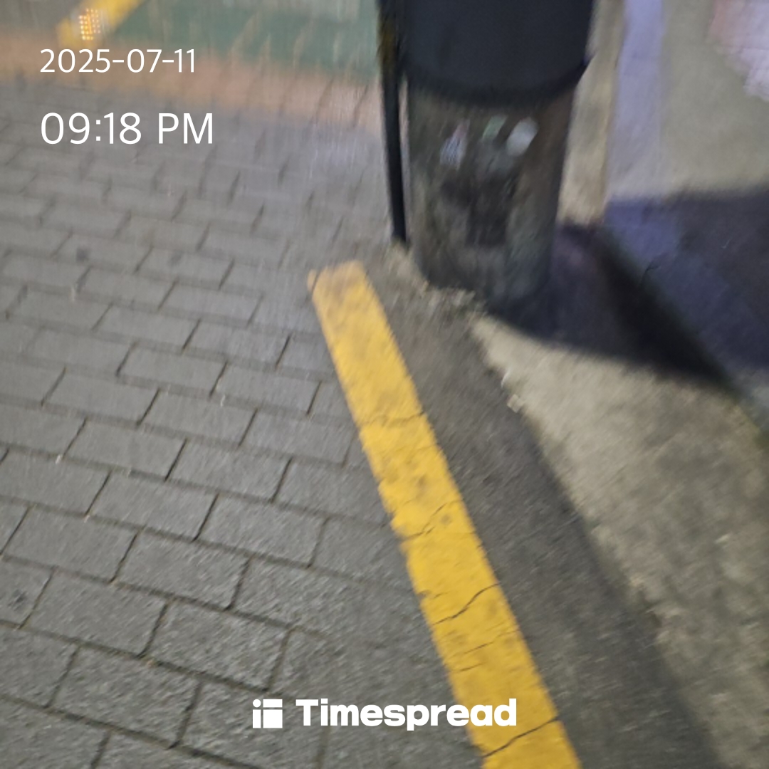 산책하기