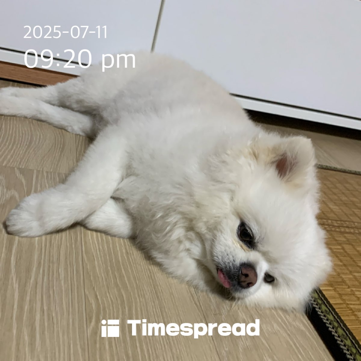 금