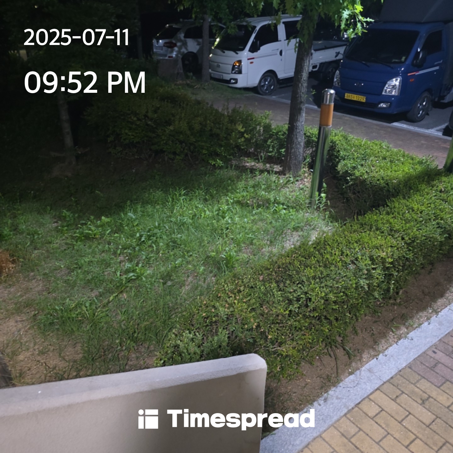 산책하기 