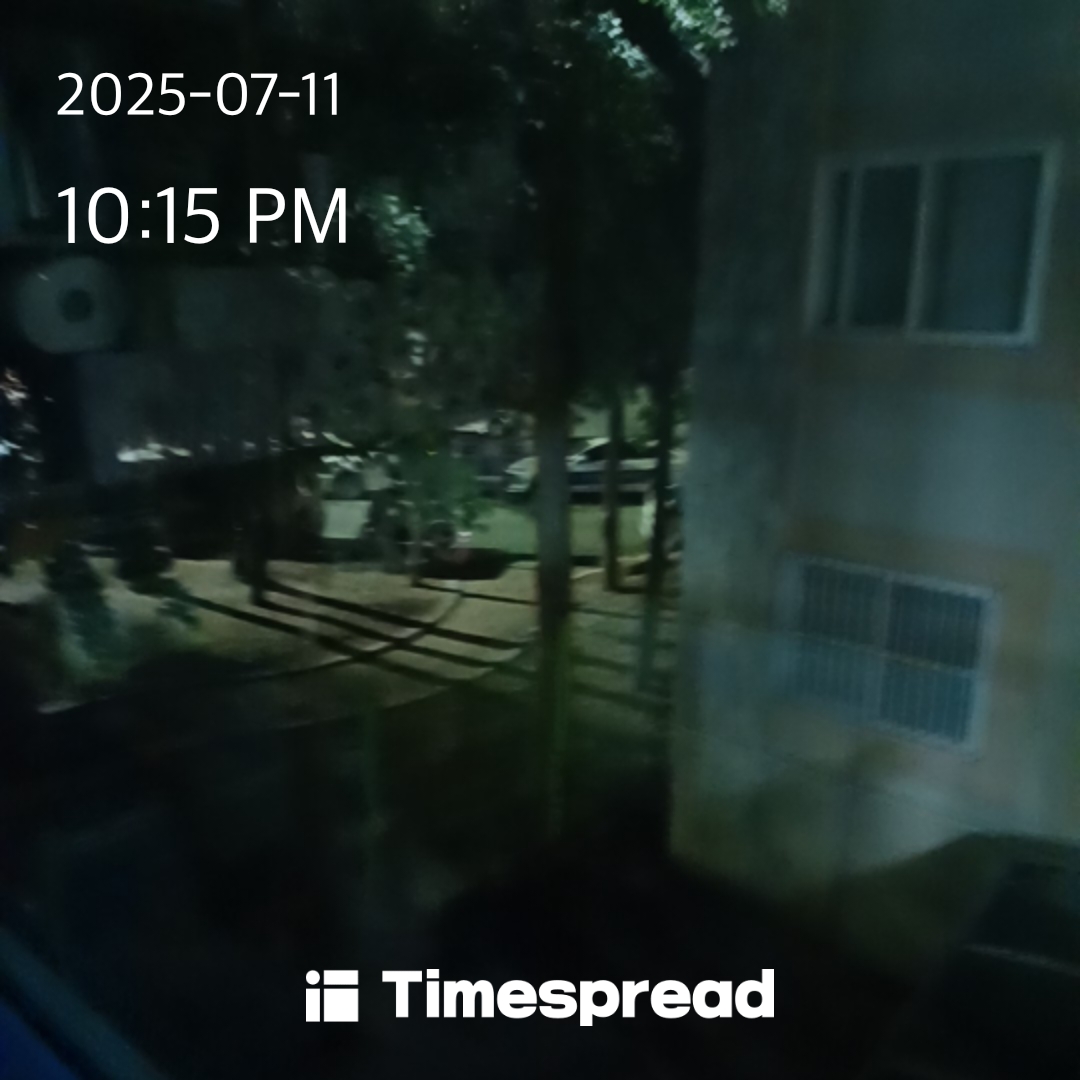 7월11일 산책하기