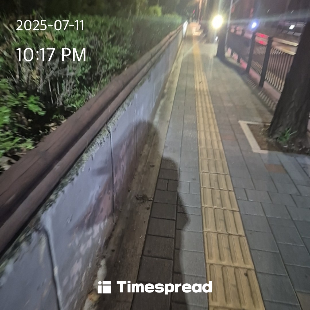 밤산책