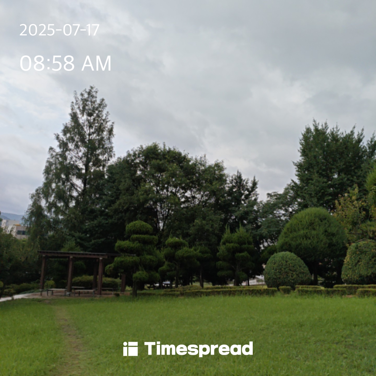board-img