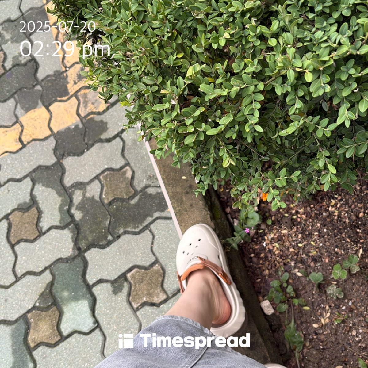 board-img