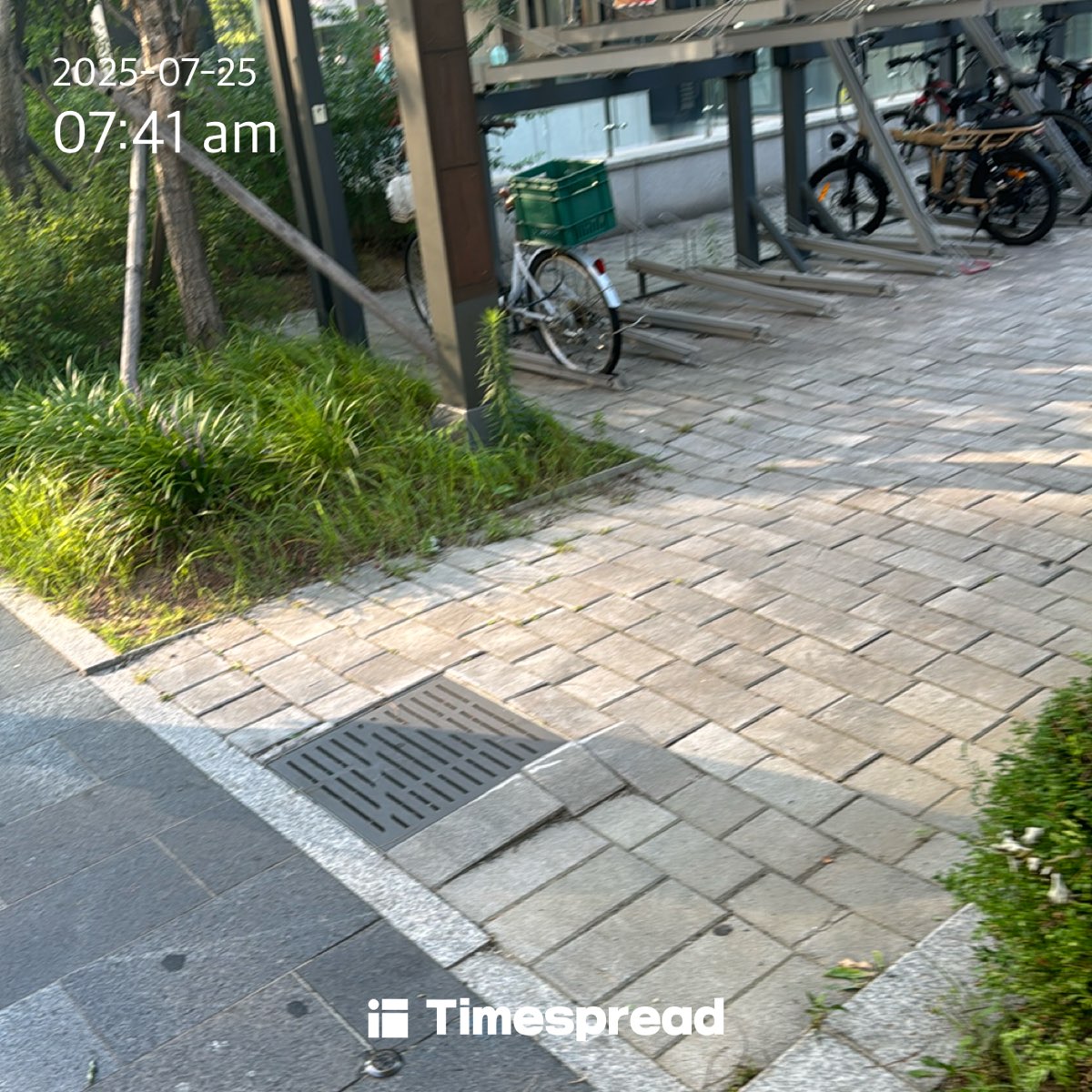 board-img