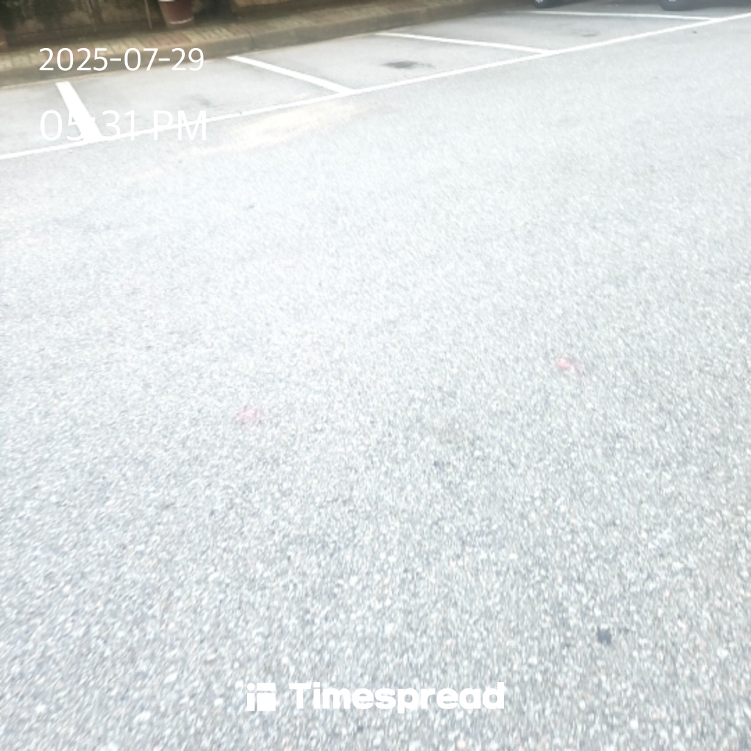 board-img