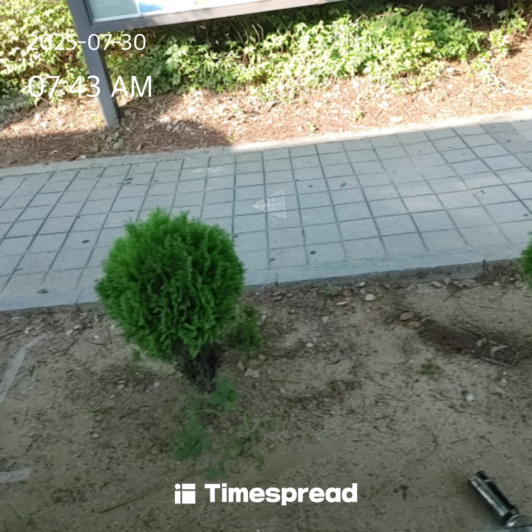 board-img