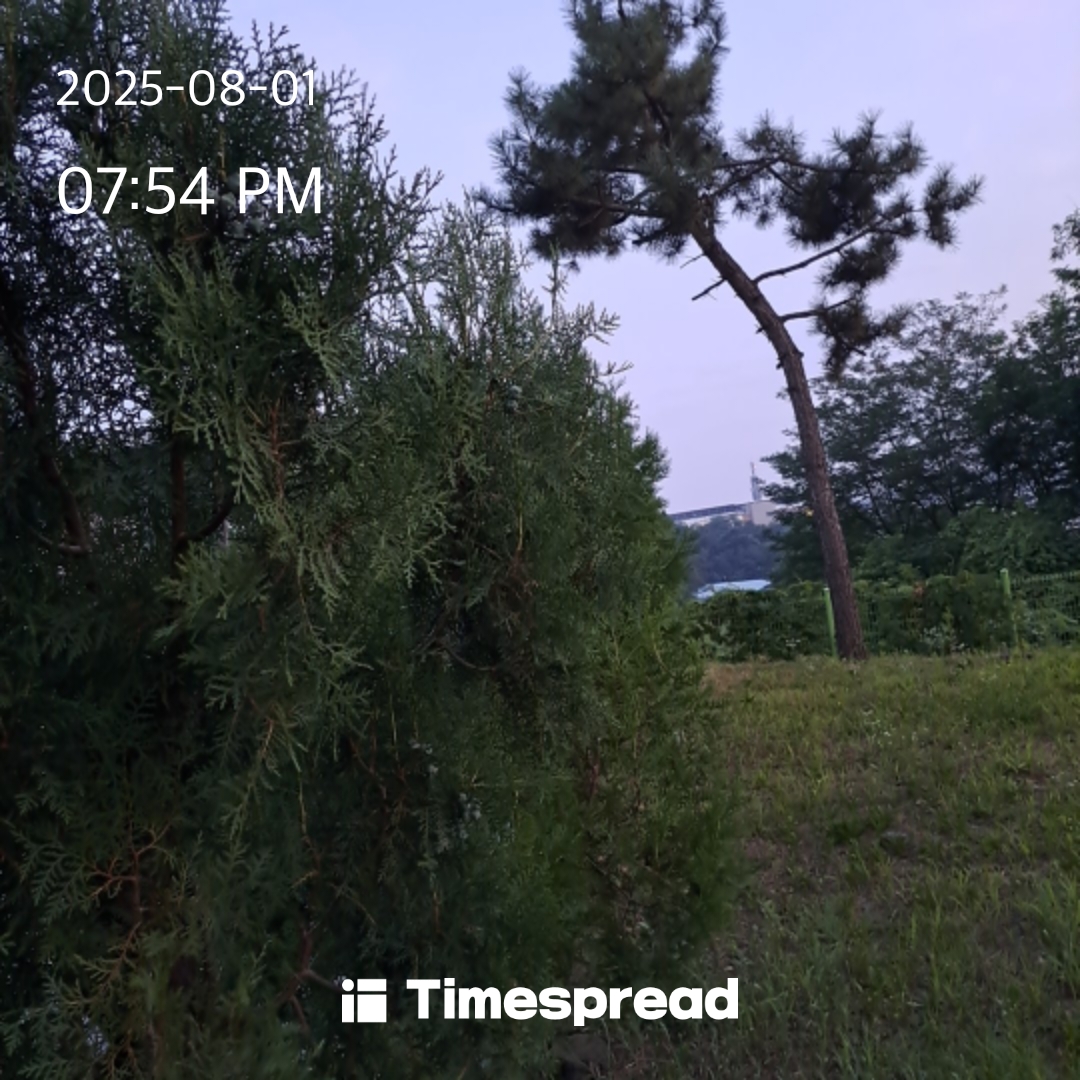 산책하기
