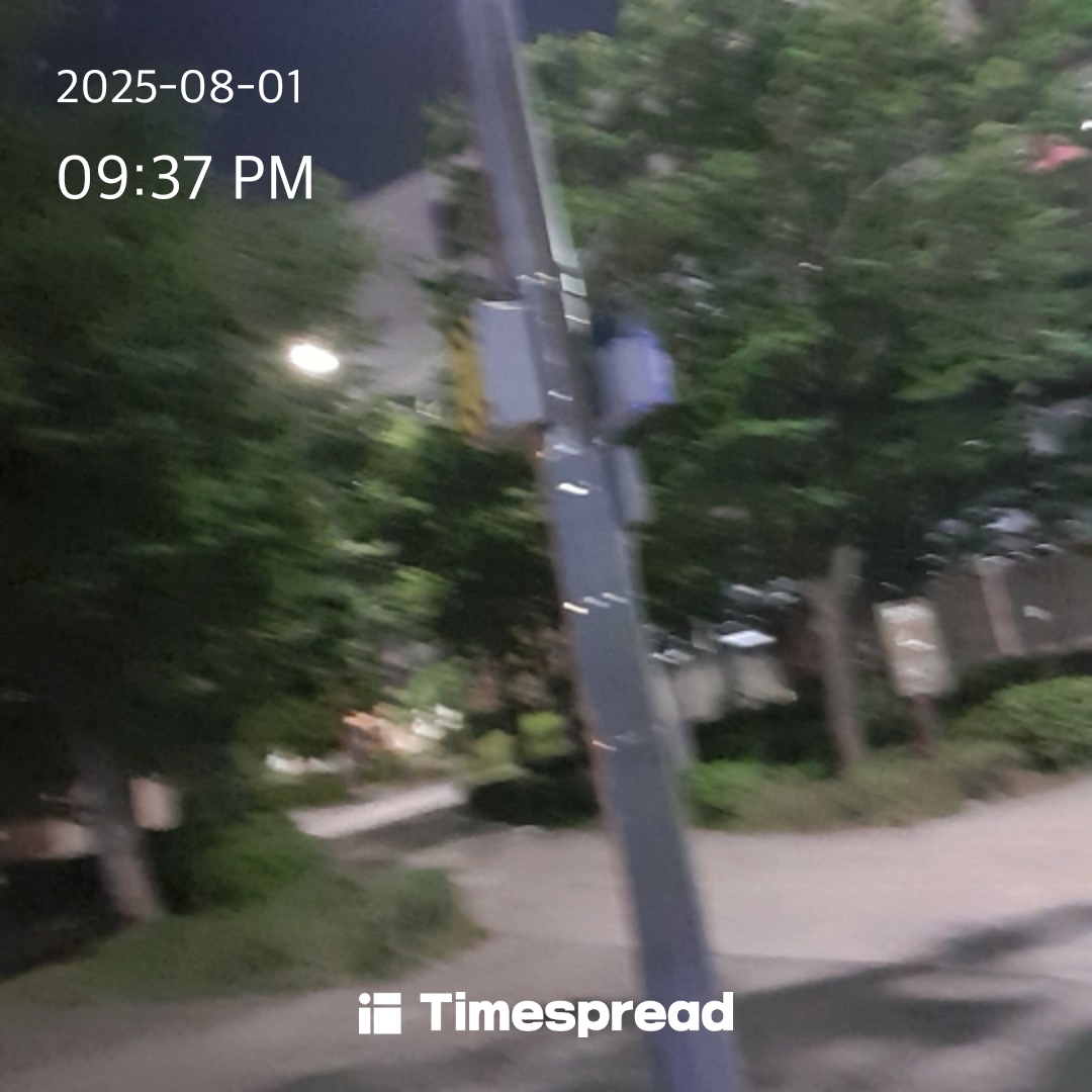 산책하기 