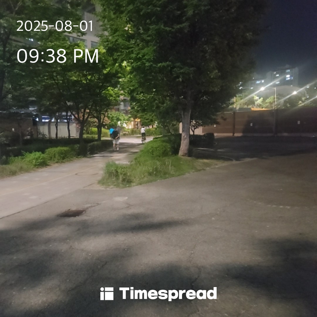 산책하기 