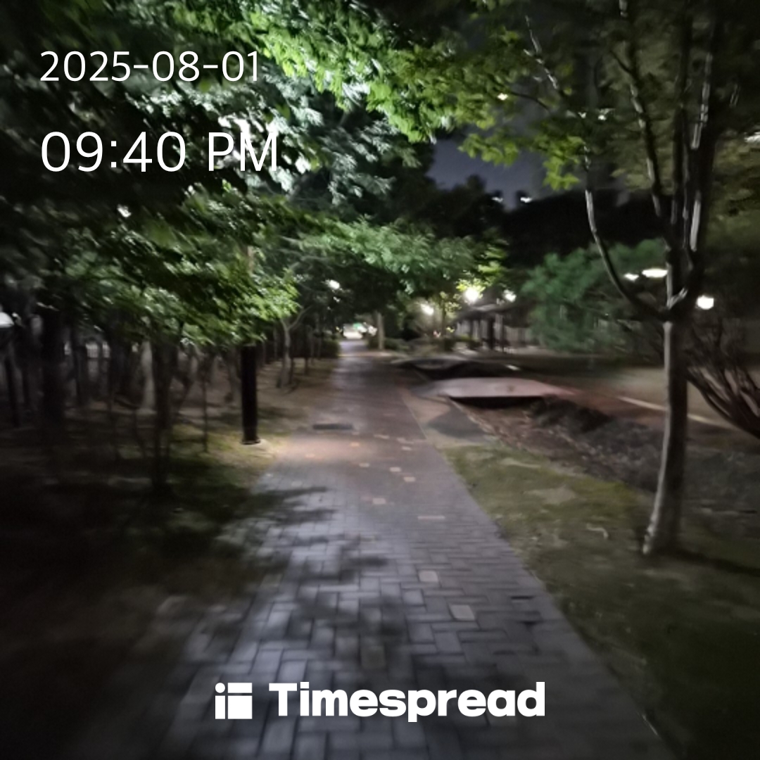 밤