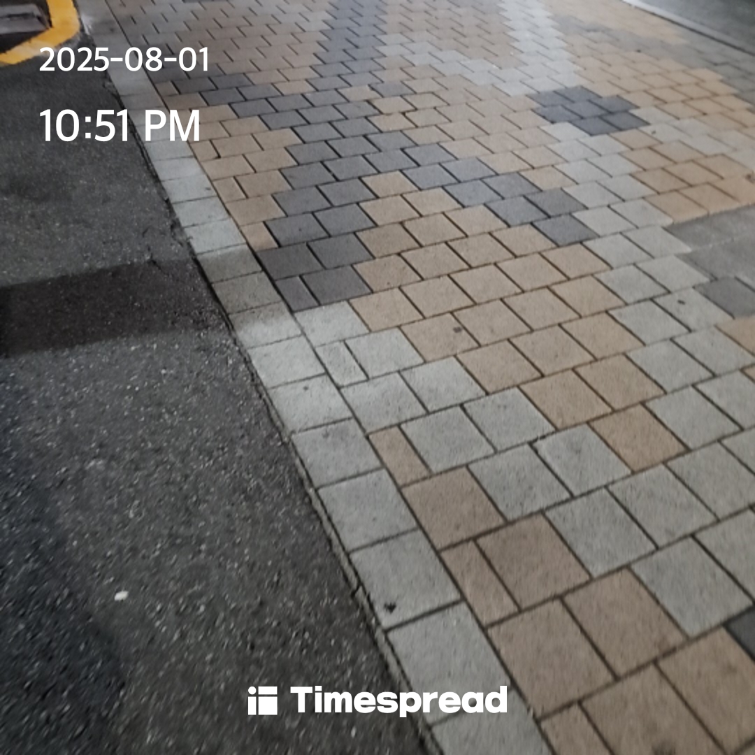 산책하기