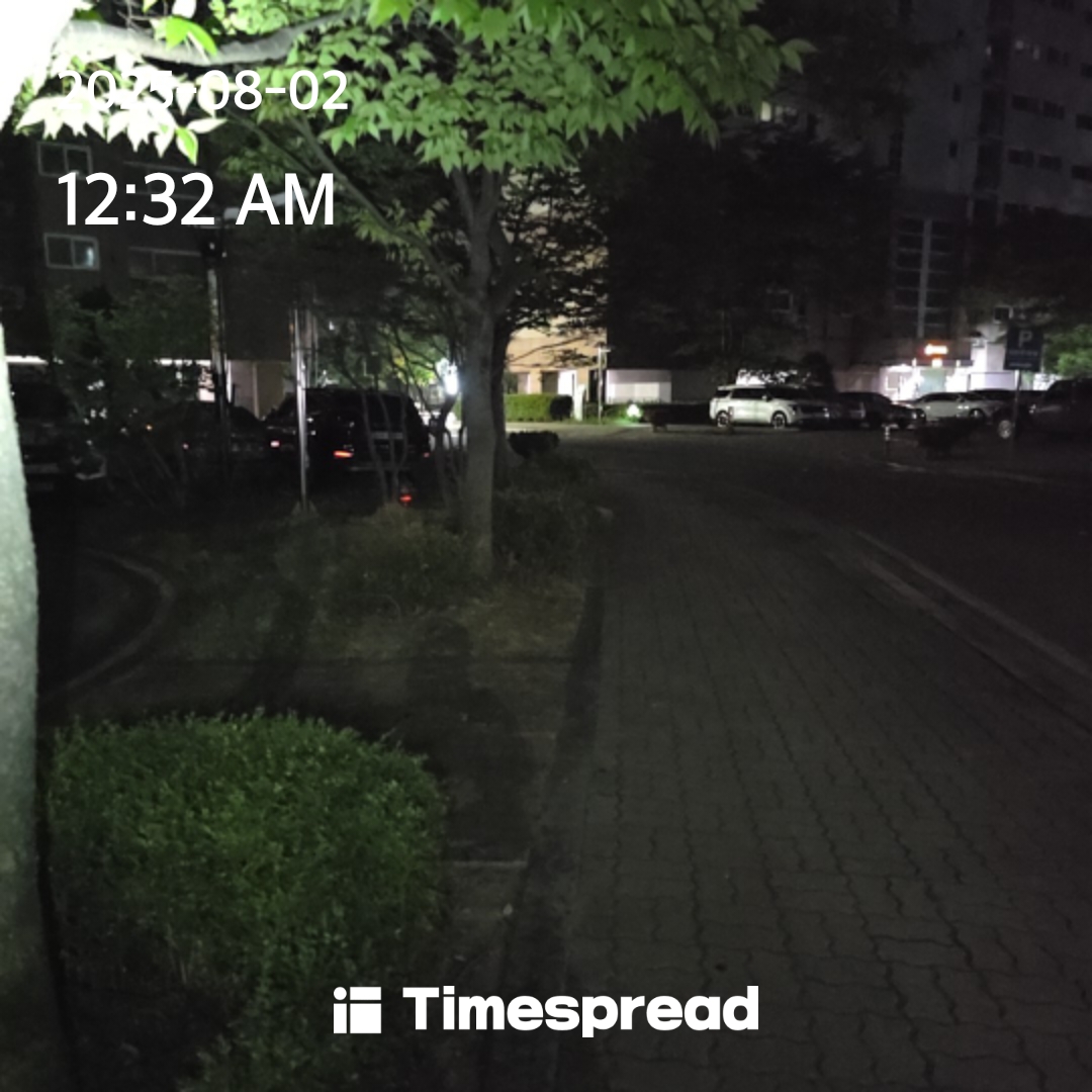 밤산책 