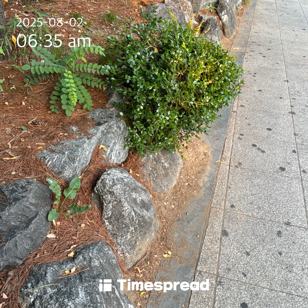 board-img