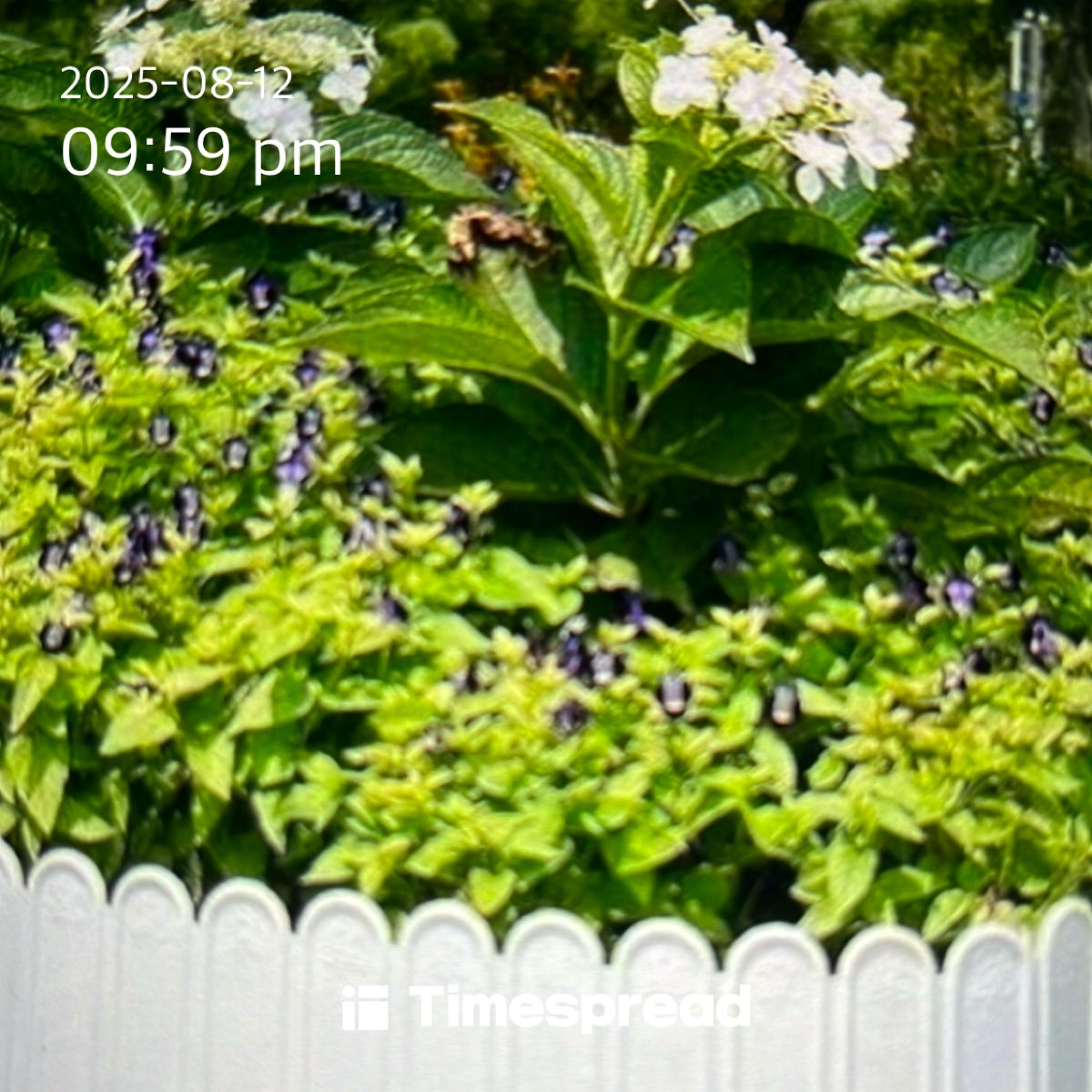 board-img