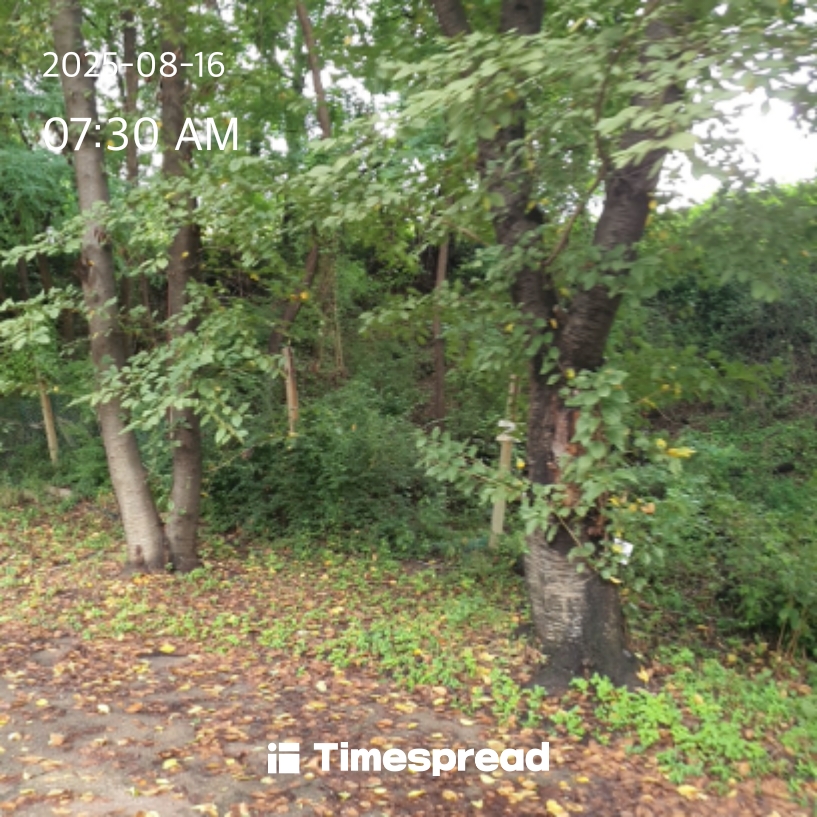 board-img