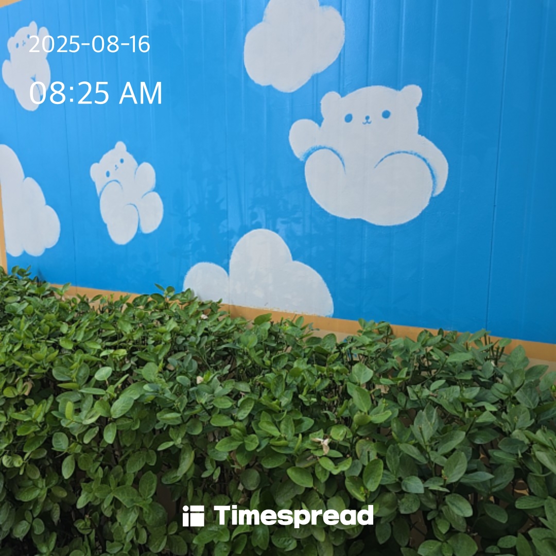 board-img