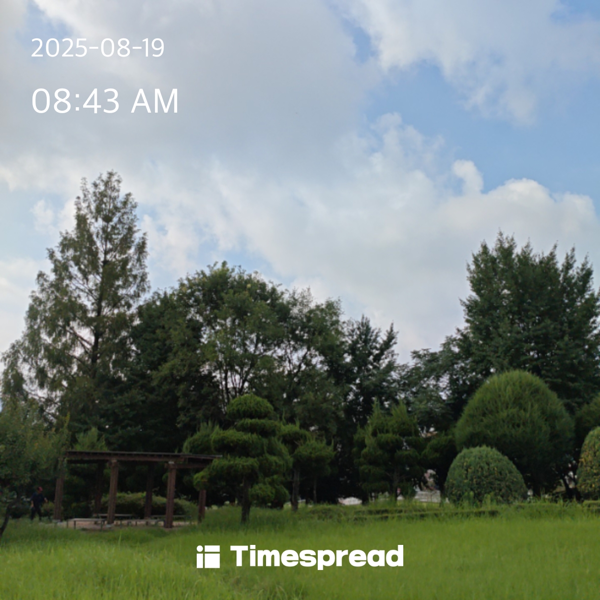 board-img