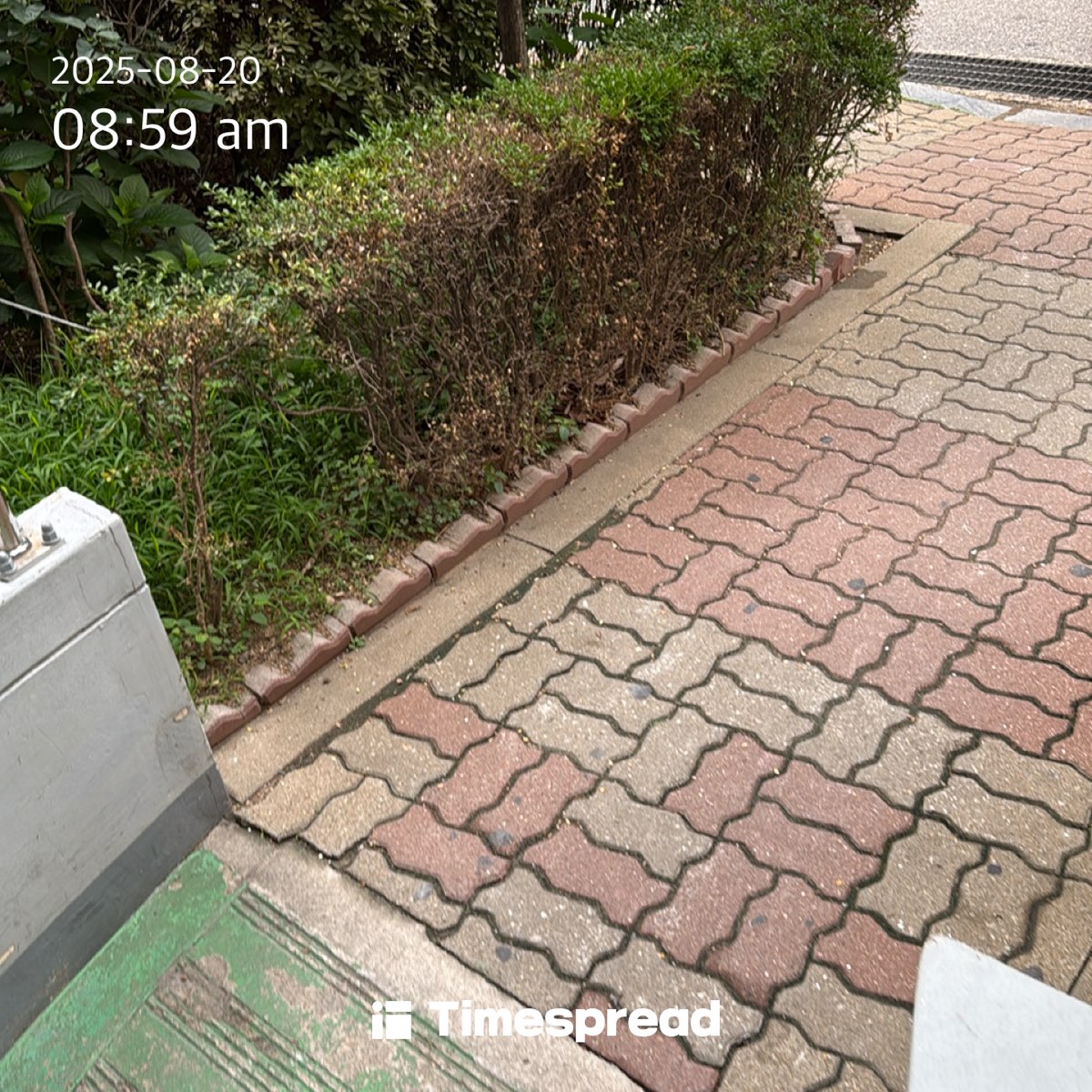 board-img