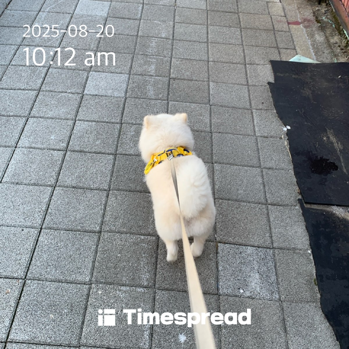 board-img