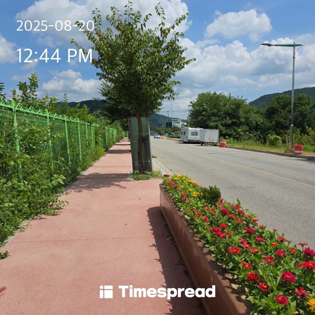 board-img