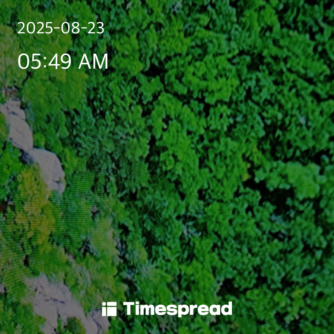 board-img