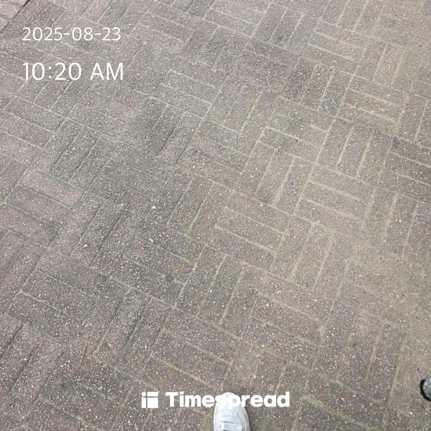 board-img