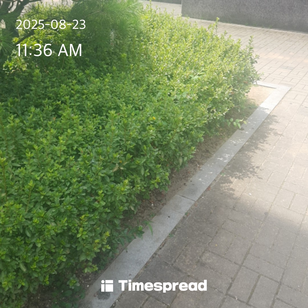 board-img