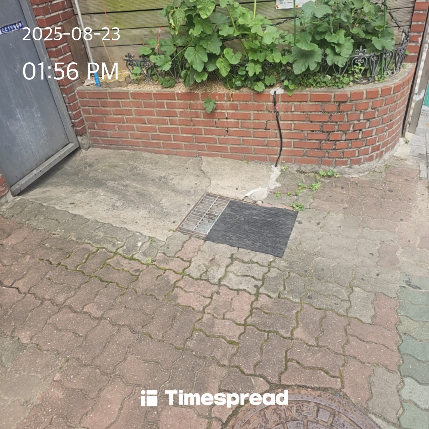 board-img