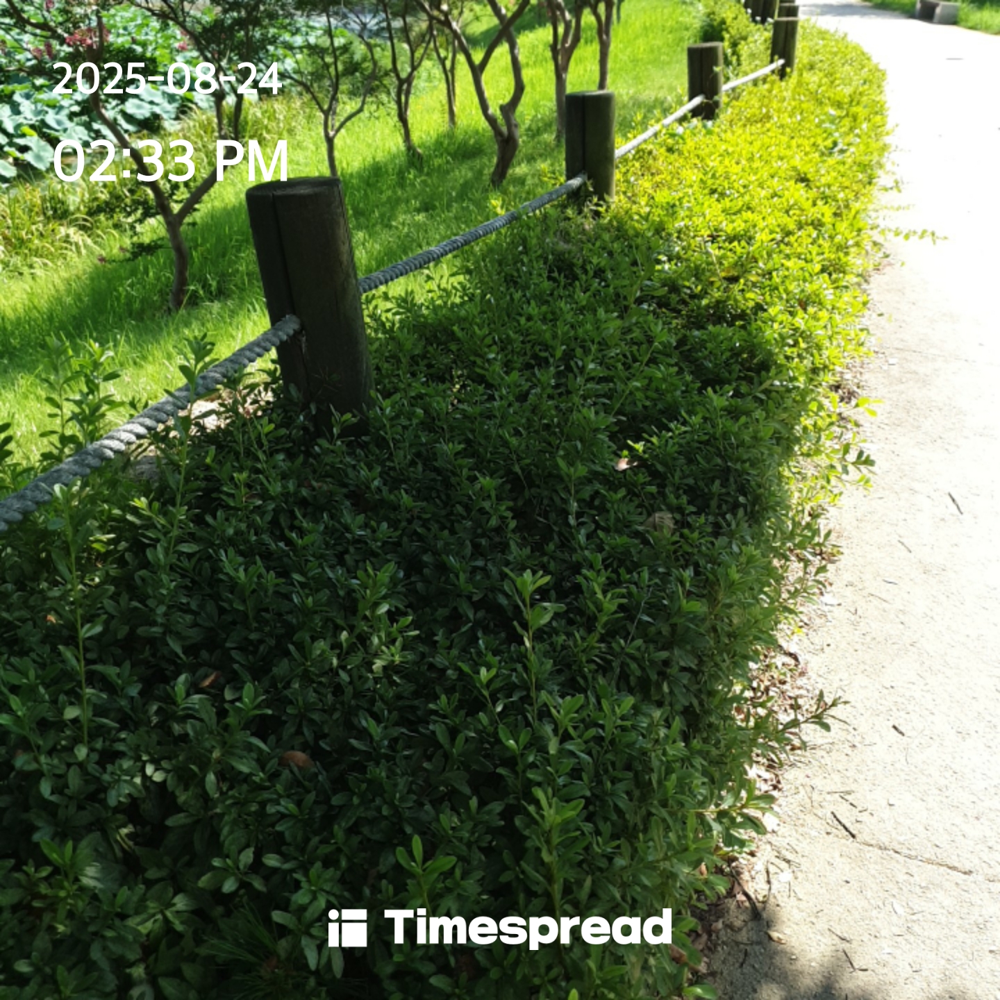 board-img