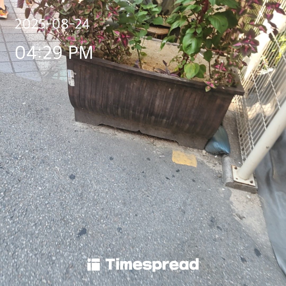 board-img