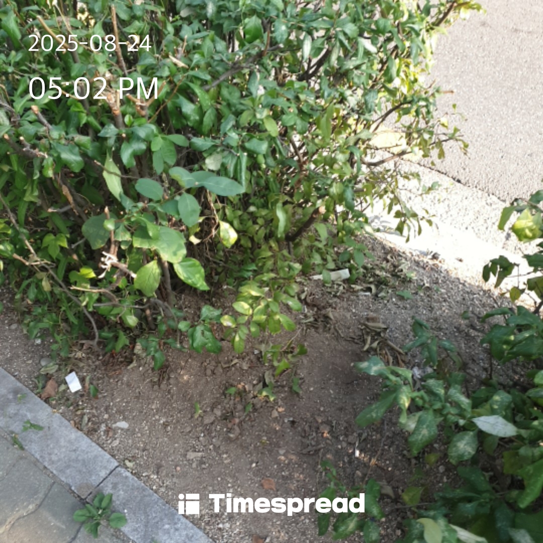 board-img